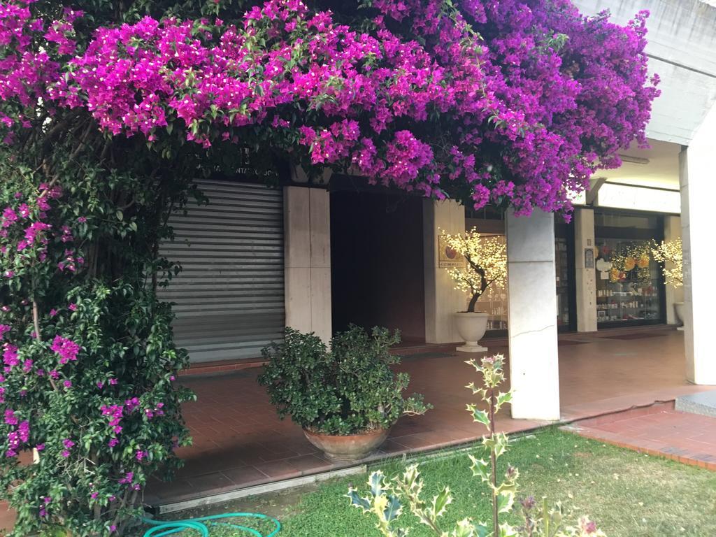 Il Parco Apartments Marina di Massa Exterior foto